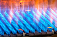 Gartnagrenach gas fired boilers